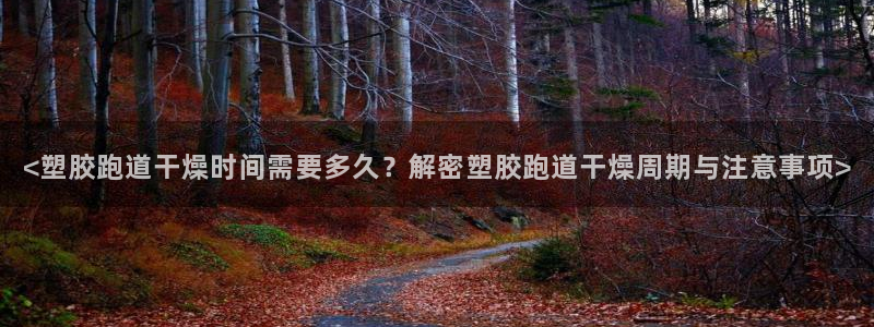 新2足球平台出租网站：<塑胶跑道干燥时间需要多久？解密塑胶跑道干燥周期与注意事项>