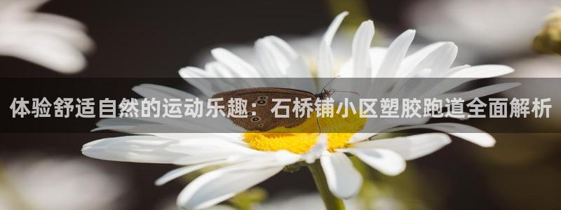 红足1世手机版下载