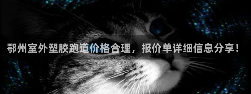 红足一1世比分网：鄂州室外塑胶跑道价格合理，报价单详细信息分享！