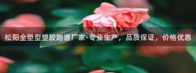 红足1世手机版下载：松阳全塑型塑胶跑道厂家-专业生产，品质保证，价格优惠