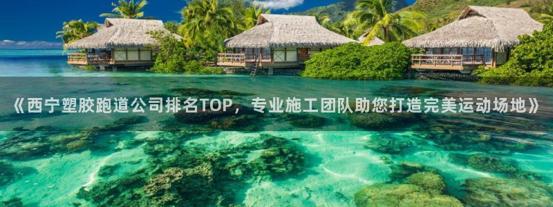 红足体育网