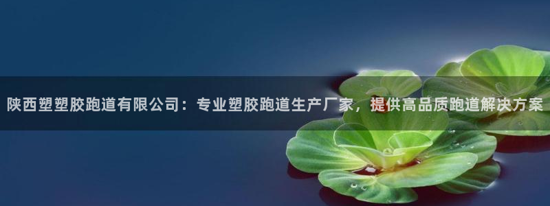 红足1一世