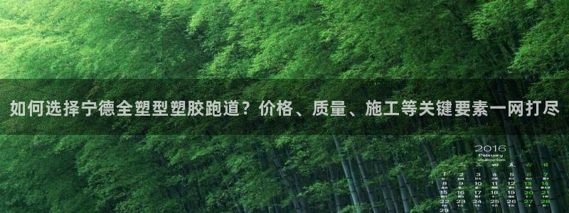 红足一1世77814：如何选择宁德全塑型塑胶跑道？价格、质量、施工等关键要素一网打尽