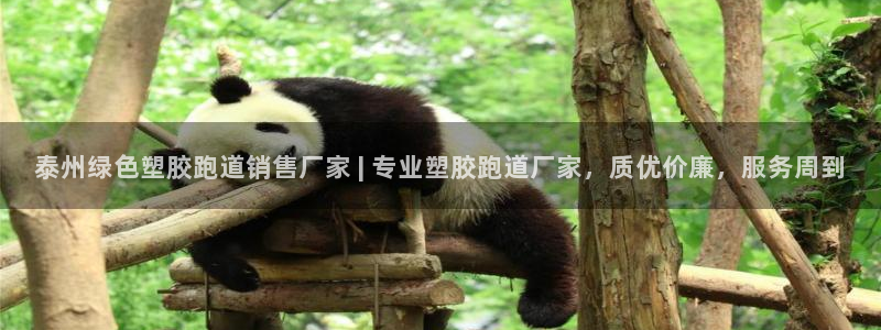 333814红足1世：泰州绿色塑胶跑道销售厂家 | 专业塑胶跑道厂家，质优价廉，服务周到