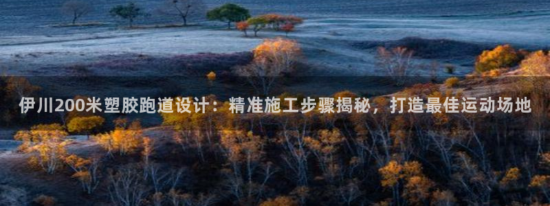 红足1世1站：伊川200米塑胶跑道设计：精准施工步骤揭秘，打造最佳运动场地