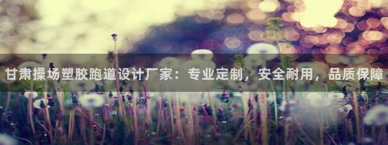 百度红足一1是什么样子的：甘肃操场塑胶跑道设计厂家：专业定制，安全耐用，品质保障