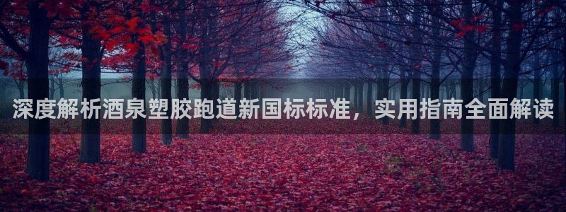 红足1世足球比分：深度解析酒泉塑胶跑道新国标标准，实用指南全面解读