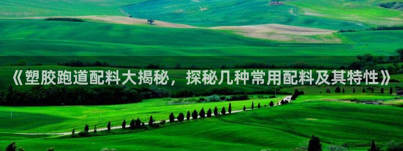 红足一1世官网比分