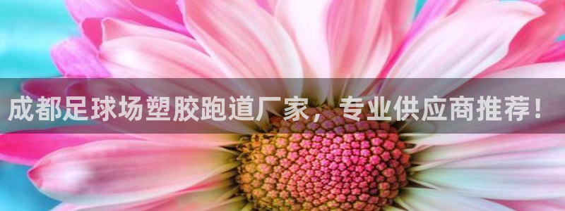 红足一一世