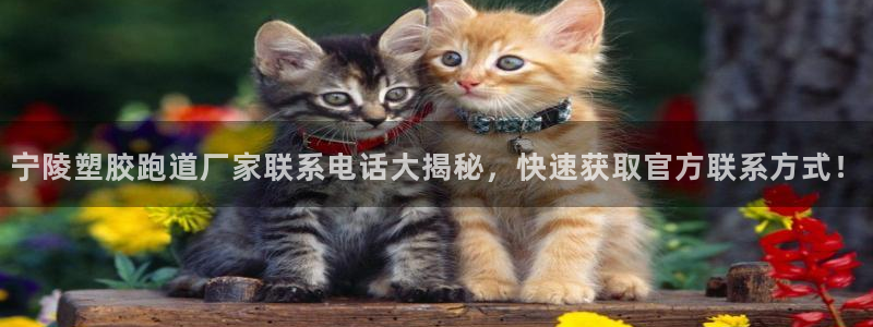 红足一球：宁陵塑胶跑道厂家联系电话大揭秘，快速获取官方联系方式！