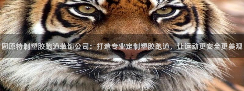 红姐现场直播开奖记录：固原特制塑胶跑道装饰公司：打造专业定制塑胶跑道，让运动更安全更美观