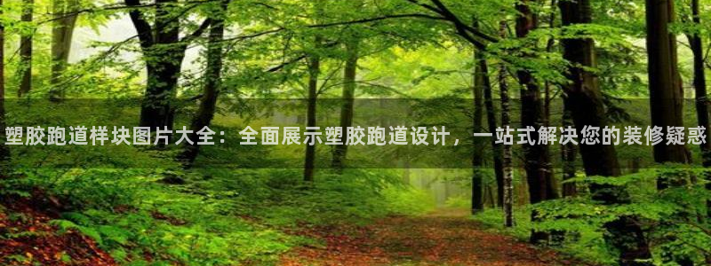 红足1世足球：塑胶跑道样块图片大全：全面展示塑胶跑道设计，一站式解决您的装修疑惑