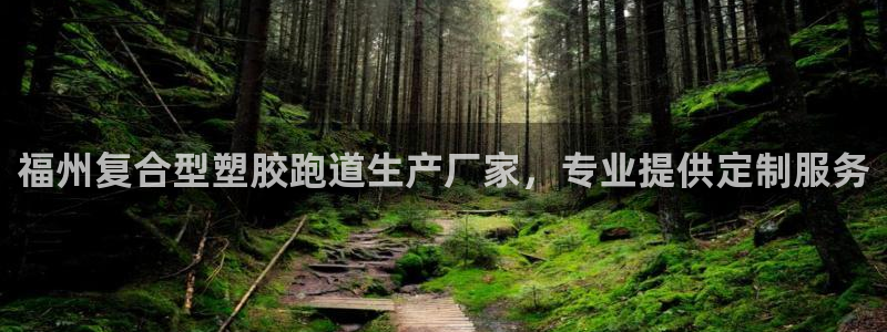 红足一一世：福州复合型塑胶跑道生产厂家，专业提供定制服务