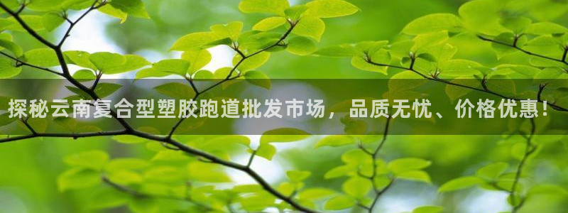 红足1世足球比分：探秘云南复合型塑胶跑道批发市场，品质无忧、价格优惠！