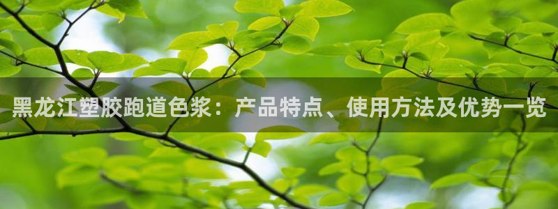 红足一球：黑龙江塑胶跑道色浆：产品特点、使用方法及优势一览