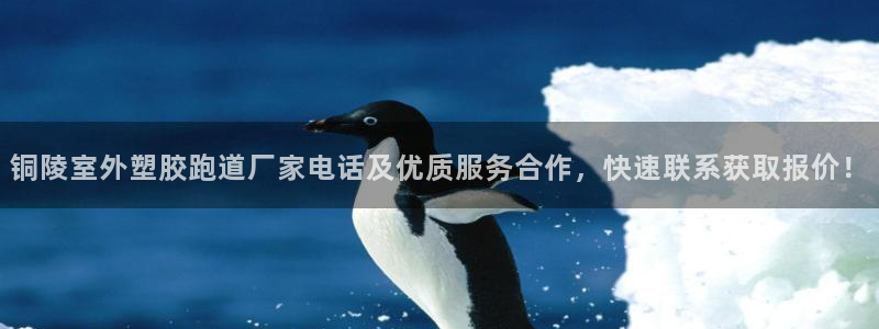 红足1世足球网址：铜陵室外塑胶跑道厂家电话及优质服务合作，快速联系获取报价！
