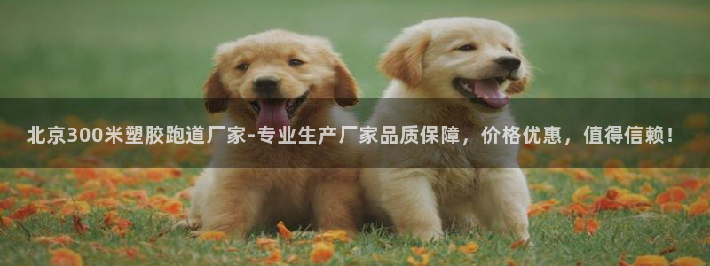 66814红足一66814世：北京300米塑胶跑道厂家-专业生产厂家品质保障，价格优惠，值得信赖！