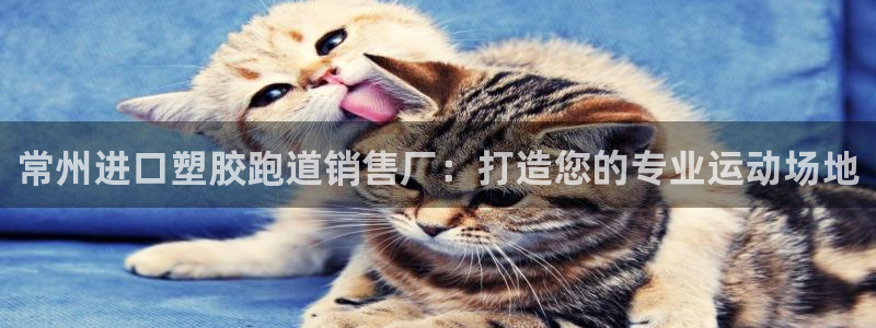 红足1世开奖预测：常州进口塑胶跑道销售厂：打造您的专业运动场地