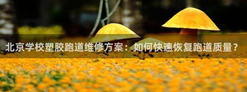 红足1世足球：北京学校塑胶跑道维修方案：如何快速恢复跑道质量？