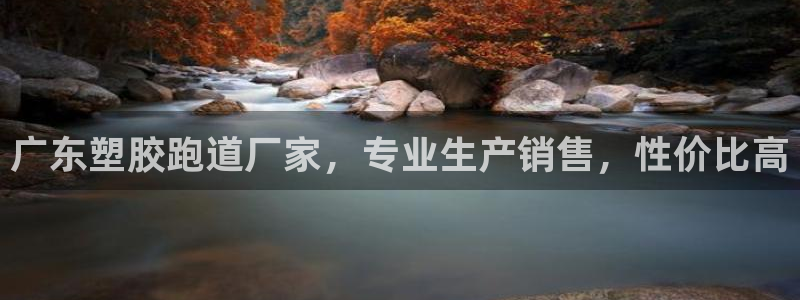 4633333开奖结果4176一点红：广东塑胶跑道厂家，专业生产销售，性价比高
