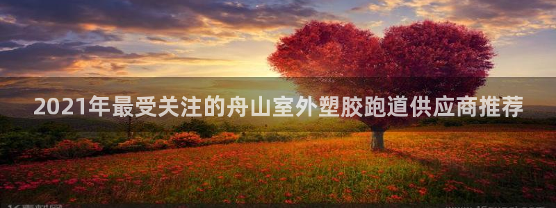 红足1一世开奖版：2021年最受关注的舟山室外塑胶跑道供应商推荐