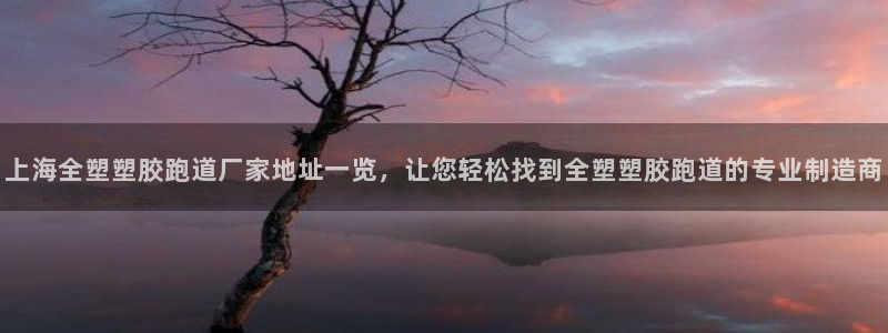 红足一1世官网足球推荐真人：上海全塑塑胶跑道厂家地址一览，让您轻松找到全塑塑胶跑道的专业制造商