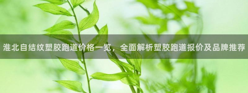 红姐现场直播开奖记录：淮北自结纹塑胶跑道价格一览，全面解析塑胶跑道报价及品牌推荐