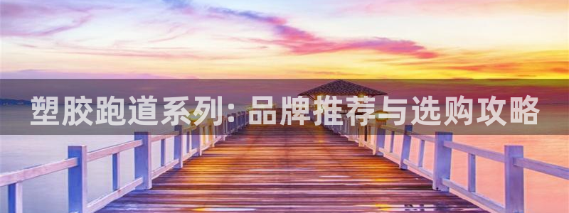 55814红足1世：塑胶跑道系列: 品牌推荐与选购攻略