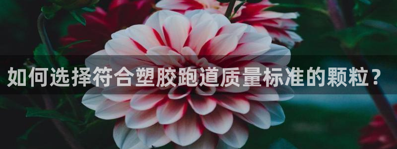 红足一1世官网足球推荐真人：如何选择符合塑胶跑道质量标准的颗粒？