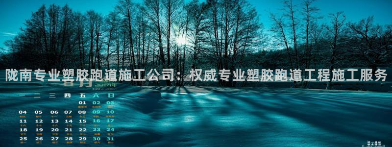 红足一一世：陇南专业塑胶跑道施工公司：权威专业塑胶跑道工程施工服务