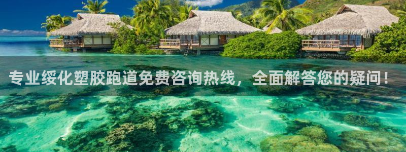 红足体育网：专业绥化塑胶跑道免费咨询热线，全面解答您的疑问！