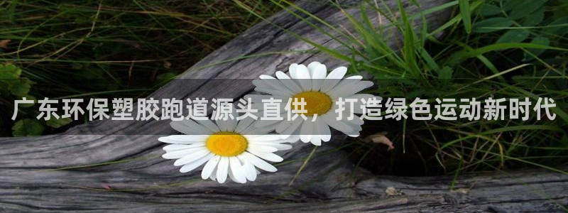4633333开奖结果4176一点红：广东环保塑胶跑道源头直供，打造绿色运动新时代