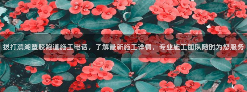 红足一1世皇冠：拨打滨湖塑胶跑道施工电话，了解最新施工详情，专业施工团队随时为您服务