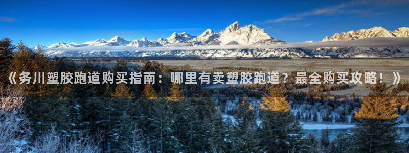 4633333开奖结果4176一点红：《务川塑胶跑道购买指南：哪里有卖塑胶跑道？最全购买攻略！》