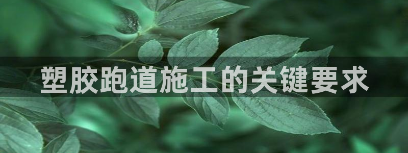 66814红足：塑胶跑道施工的关键要求