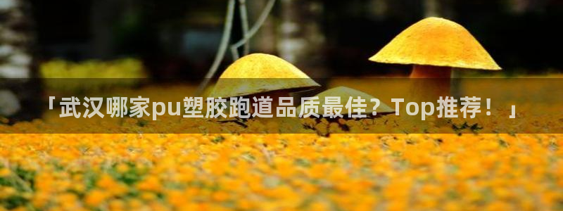 红足一一世：「武汉哪家pu塑胶跑道品质最佳？Top推荐！」