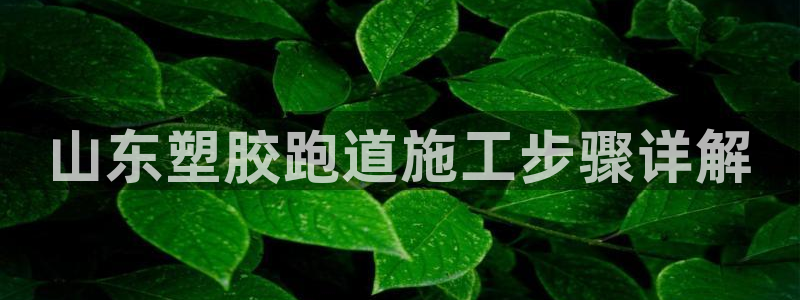 333814红·足一世比分：山东塑胶跑道施工步骤详解