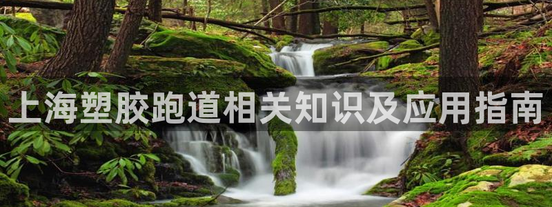 红足1世足球网址：上海塑胶跑道相关知识及应用指南