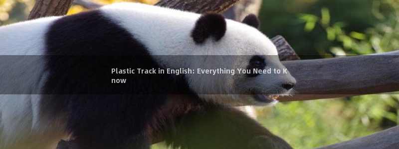 红足1世手机下载：Plastic Track in English: Everything You Need to Know