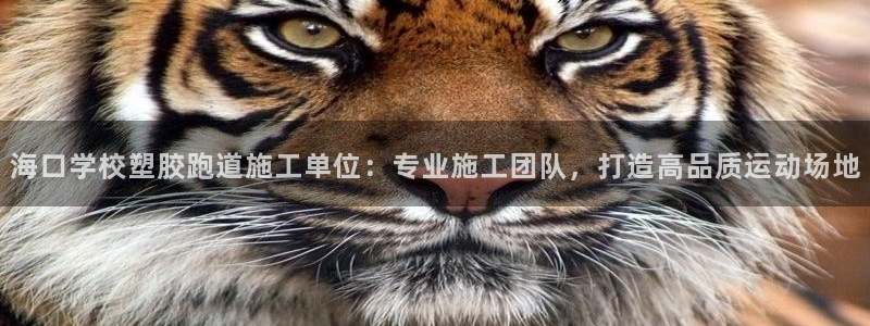 红足1世足球比分 localhost：海口学校塑胶跑道施工单位：专业施工团队，打造高品质运动场地