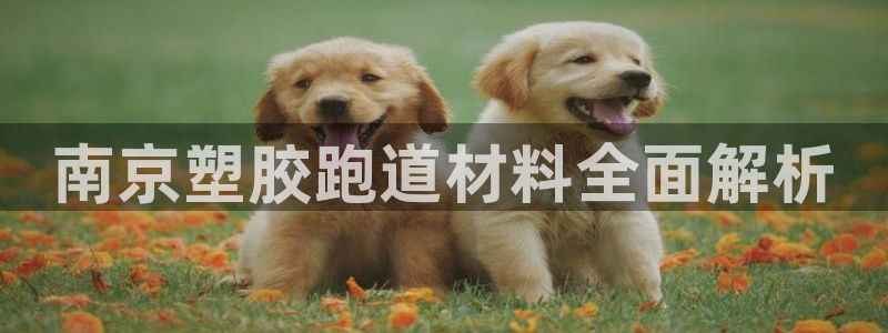 百度红足一1视频在线观看：南京塑胶跑道材料全面解析
