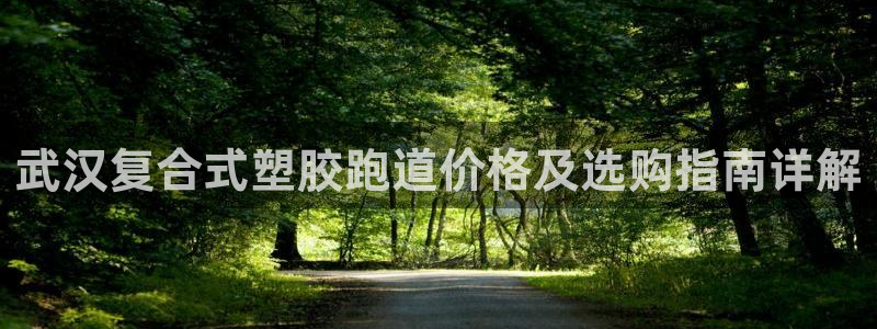 红足一1世手机开奖：武汉复合式塑胶跑道价格及选购指南详解