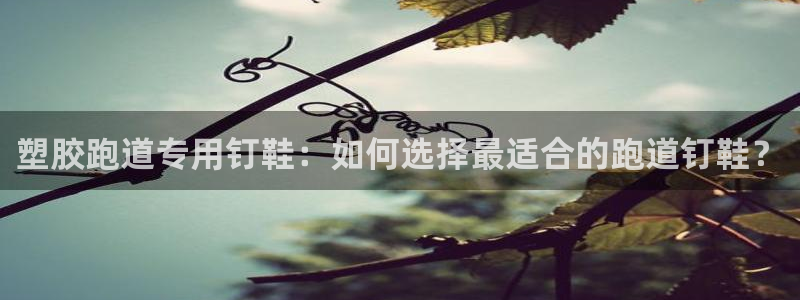 66814红足一66814世：塑胶跑道专用钉鞋：如何选择最适合的跑道钉鞋？