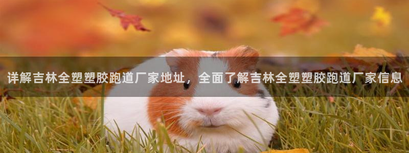 红足1世足球比分预测：详解吉林全塑塑胶跑道厂家地址，全面了解吉林全塑塑胶跑道厂家信息
