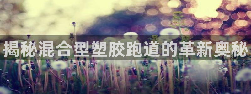 红足1世足球比分 localhost：揭秘混合型塑胶跑道的革新奥秘