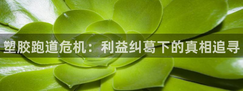 4633333开奖结果4176一点红