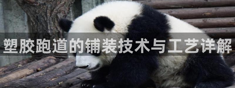 红足一1世66814：塑胶跑道的铺装技术与工艺详解
