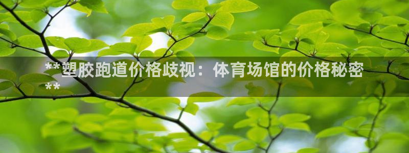 红足网足球直播：**塑胶跑道价格歧视：体育场馆的价格秘密
**