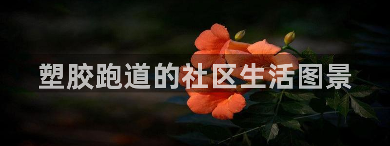 红足一1世：塑胶跑道的社区生活图景