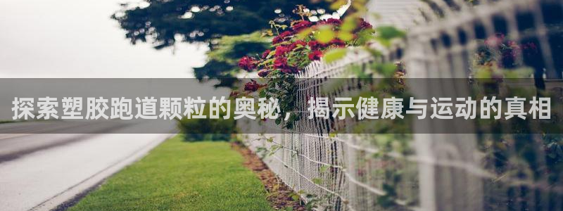 红足1世开奖预测：探索塑胶跑道颗粒的奥秘，揭示健康与运动的真相